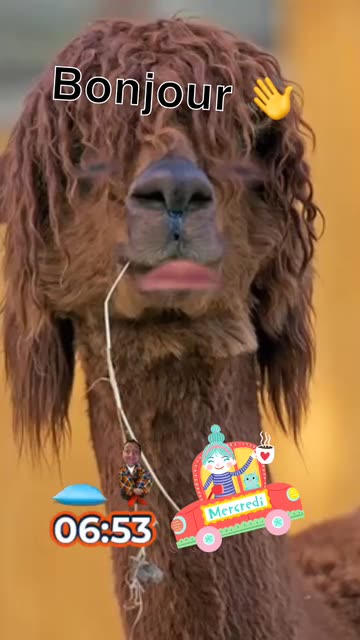 Preview for a Spotlight video that uses the Hairy lama Lens