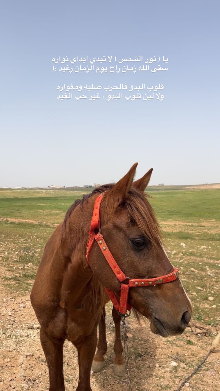 محتوى سناب شات لـ EMAN AL5HALIDI 𓅂 🇰🇼| 🇯🇴