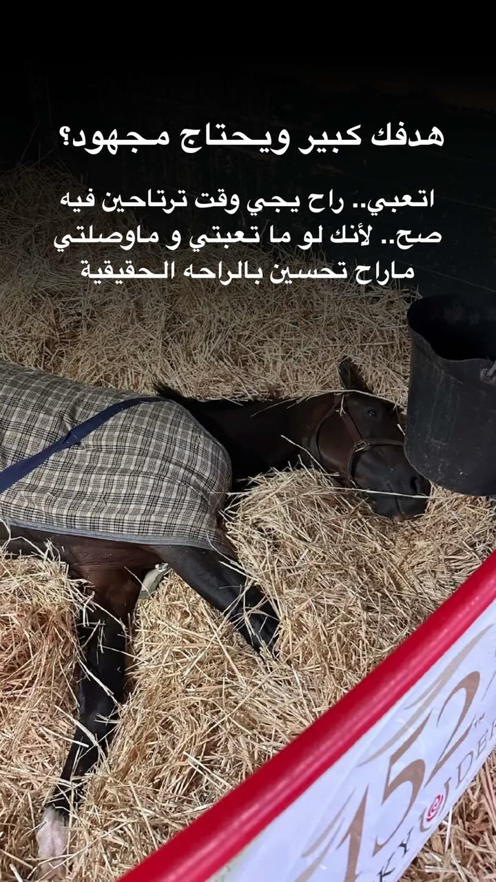محتوى سناب شات لـ د. هند عنايه وأفكار 🎯
