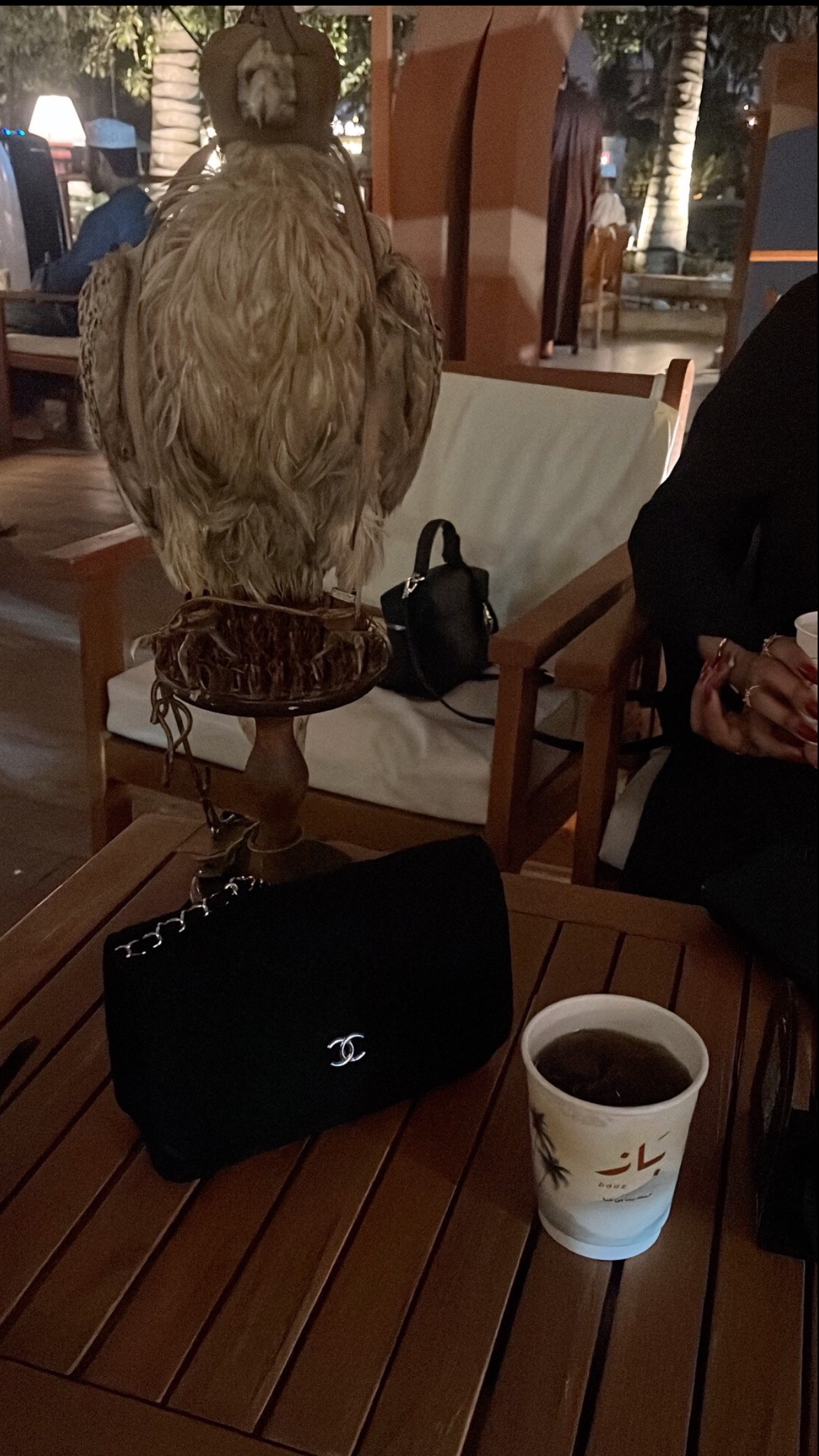 محتوى سناب شات لـ 🦢 َ