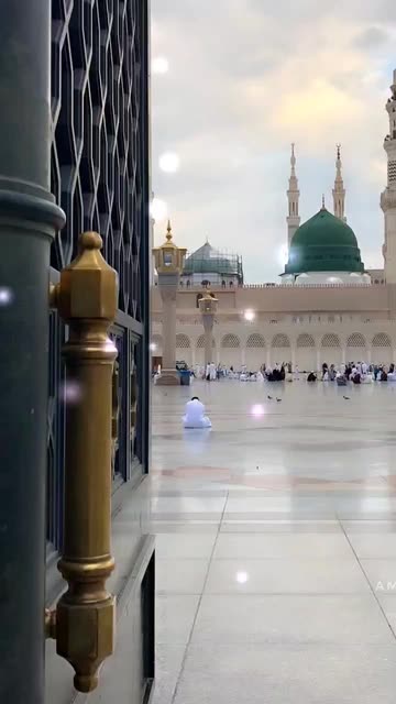 Preview for a Spotlight video that uses the Madinah Lens