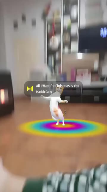 Preview for a Spotlight video that uses the Street Cat Dance Lens