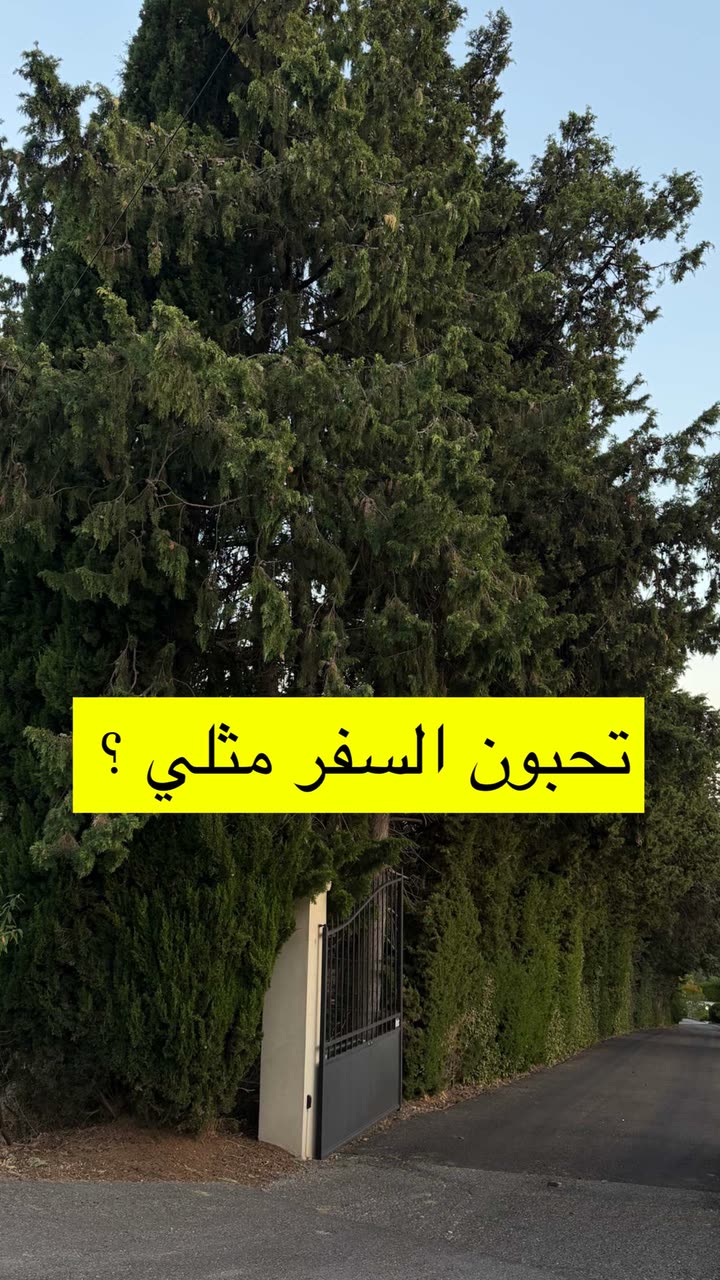 محتوى سناب شات لـ د. سارا الودعاني