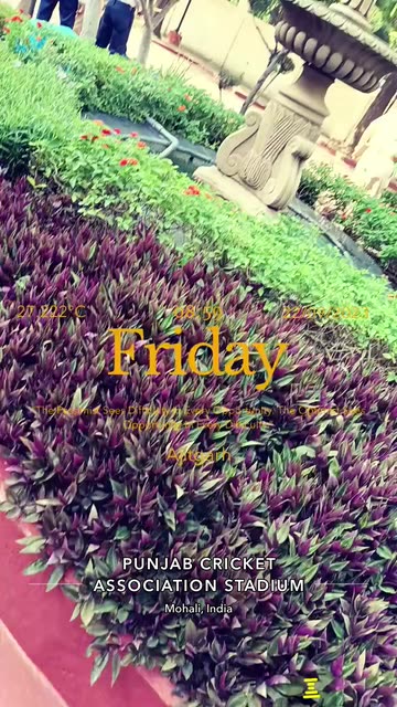 Preview for a Spotlight video that uses the Lovely Day Lens