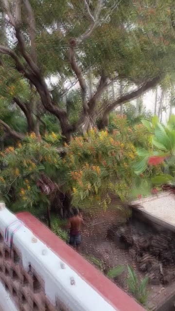Preview for a Spotlight video that uses the K-Drama Scene Lens