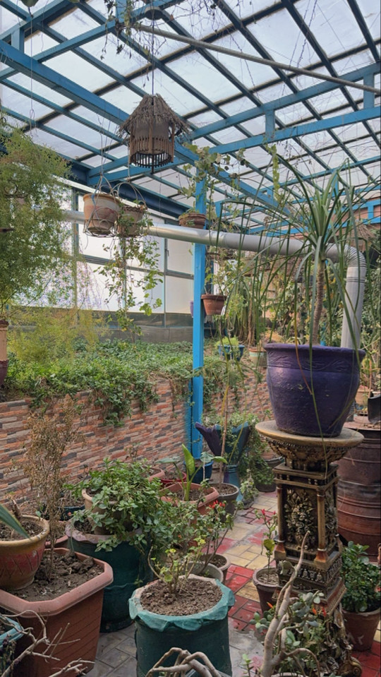 mxan01