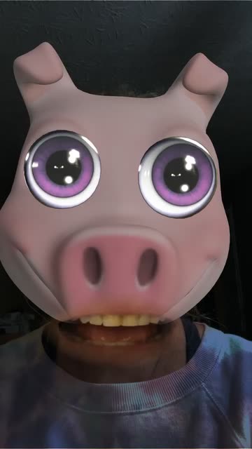 Preview for a Spotlight video that uses the CUTEST-PORKER Lens