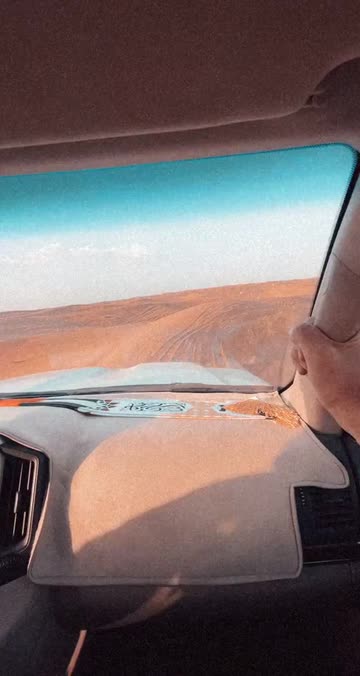 Preview for a Spotlight video that uses the TRIP Lens