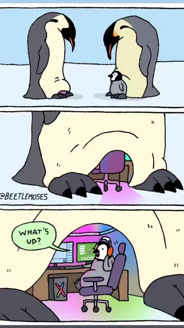 🐧🌮