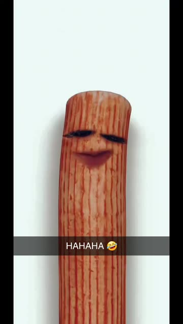 Preview for a Spotlight video that uses the Crab Stick Lens
