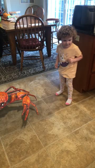 Preview for a Spotlight video that uses the Crab Rave Lens