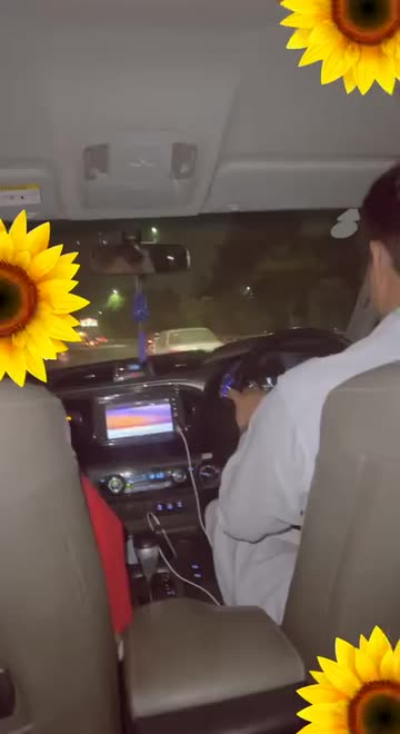 Preview for a Spotlight video that uses the Sunflowers Lens