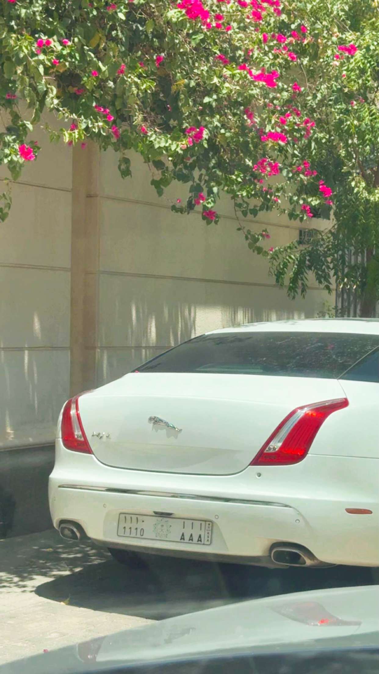 محتوى سناب شات لـ نمبر كار 🚘1️⃣