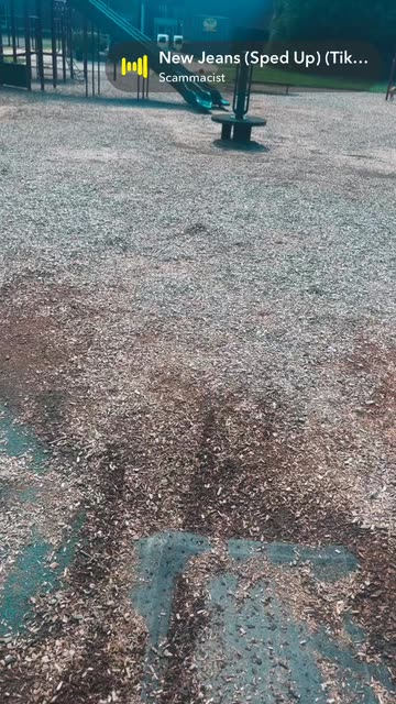 Preview for a Spotlight video that uses the hamptons Lens