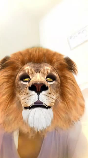 Preview for a Spotlight video that uses the Lion Lens