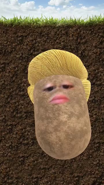 Preview for a Spotlight video that uses the Potato President Lens