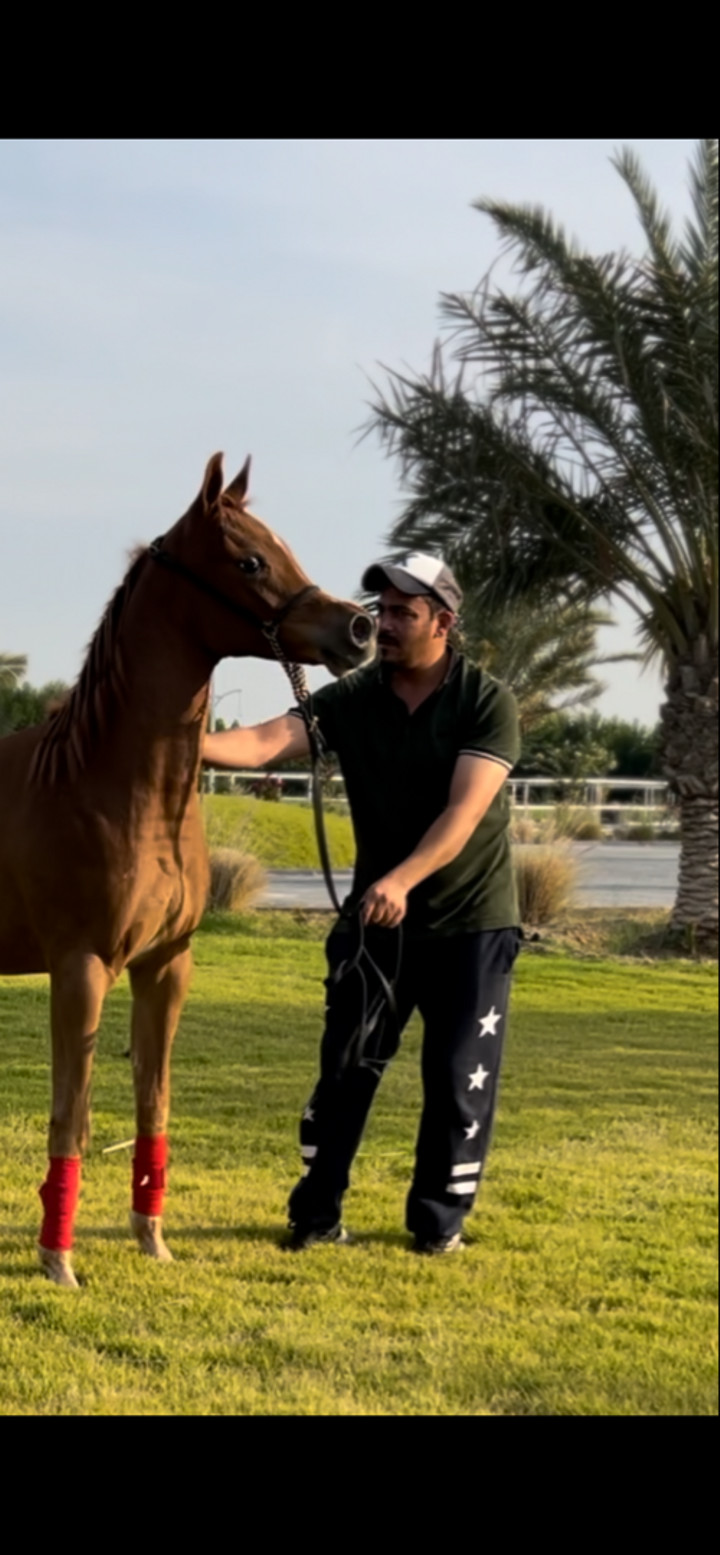محتوى سناب شات لـ محمد المقاحطه🐎⚖️