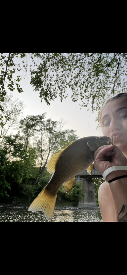 ggbhabie