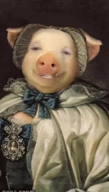Preview for a Spotlight video that uses the victorian pig Lens