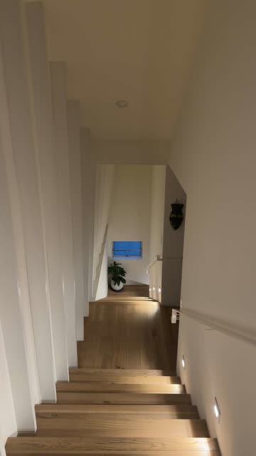 ikethesinn