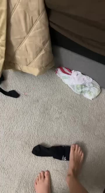 Preview for a Spotlight video that uses the Backflipping Elmo Lens