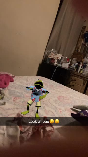 Preview for a Spotlight video that uses the Kermit Macarena Lens