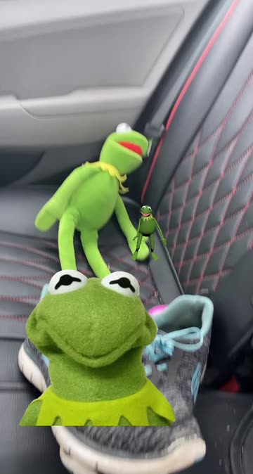 kermit the frog driving