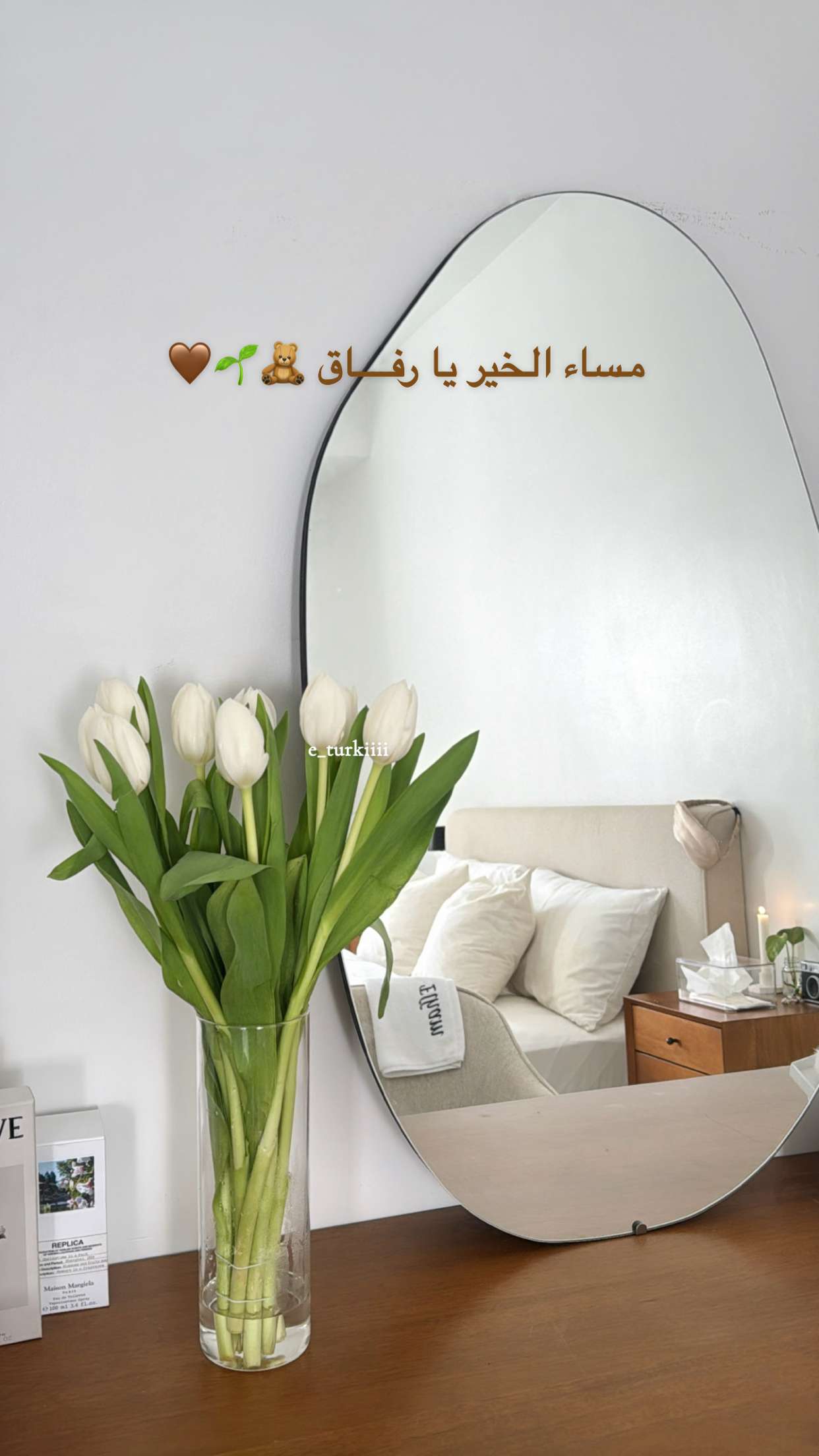 قصة سناب شات للحساب e_turkiiii رقم 66