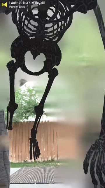 Preview for a Spotlight video that uses the Skeleton Body Lens