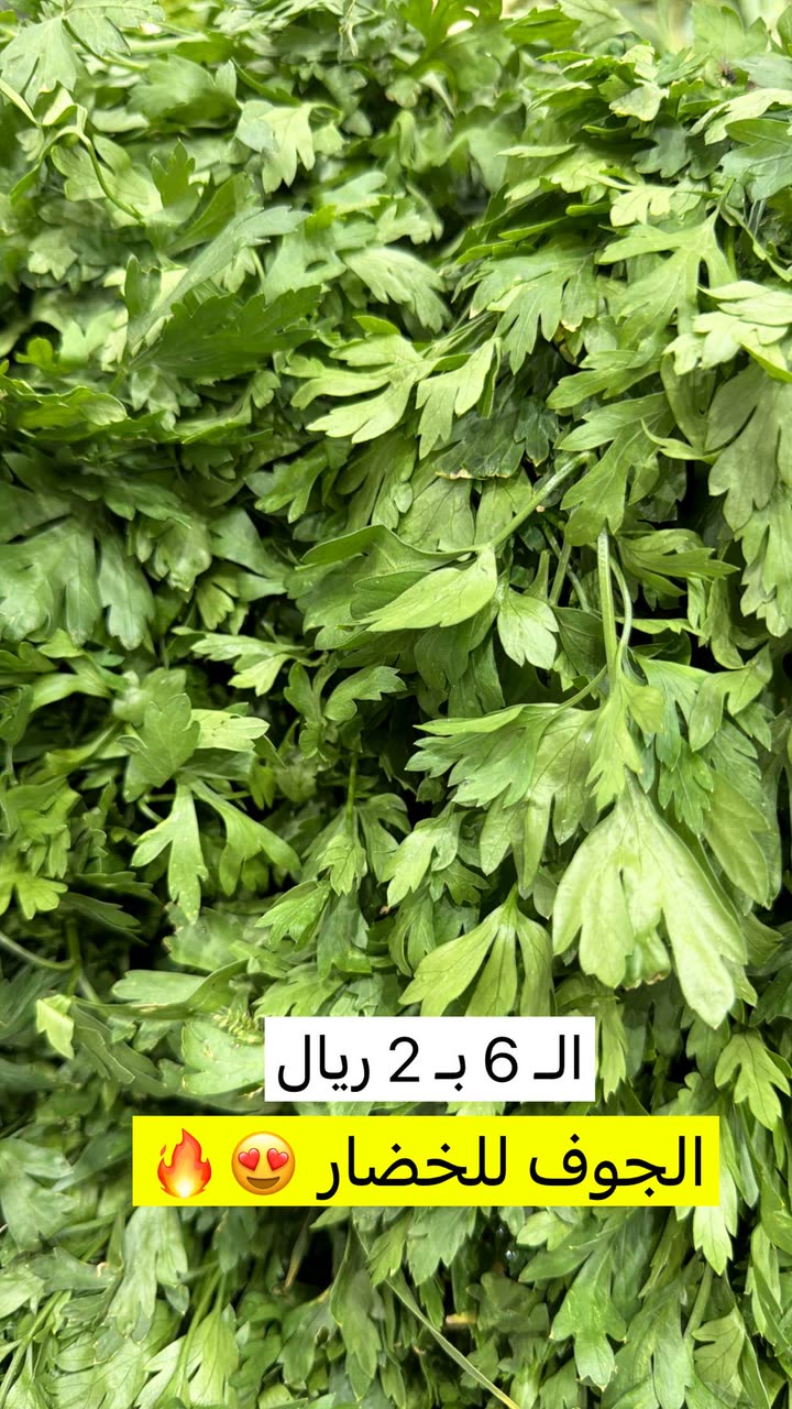 محتوى سناب شات لـ عاجل الحفر