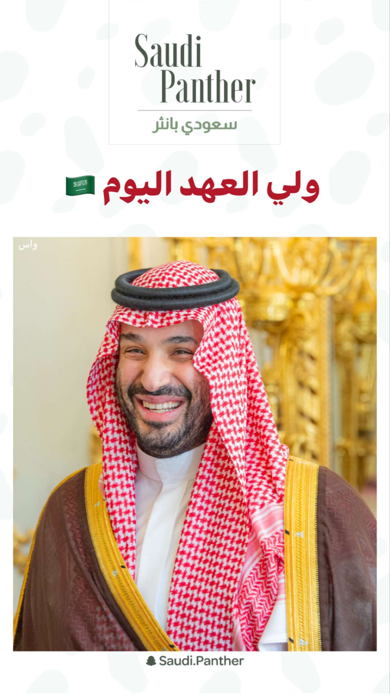 محتوى سناب شات لـ SAUDI PANTHER
