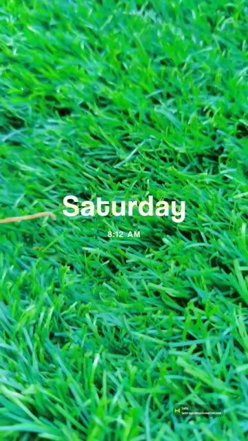 Preview for a Spotlight video that uses the Enjoy Day Lens