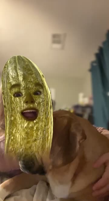Preview for a Spotlight video that uses the Pickled Cucumber Lens