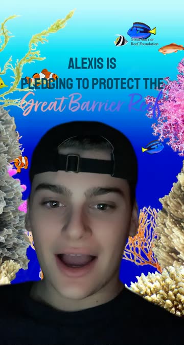 Preview for a Spotlight video that uses the Great Barrier Reef Conservation Lens