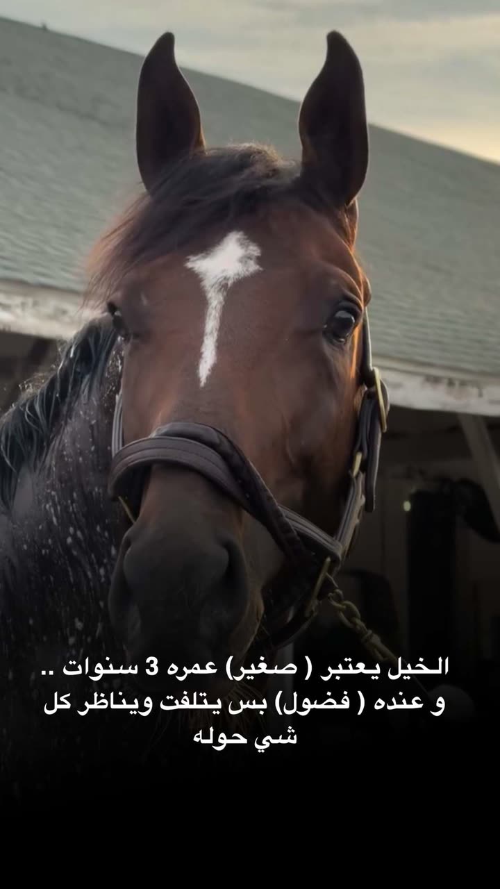 محتوى سناب شات لـ د. هند عنايه وأفكار 🎯