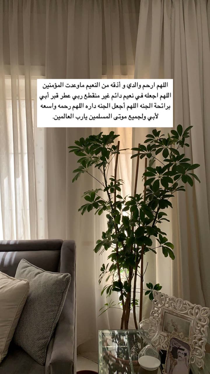 محتوى سناب شات لـ Shmowkh 🍃🎼🐺