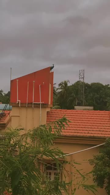 Preview for a Spotlight video that uses the moody flair Lens