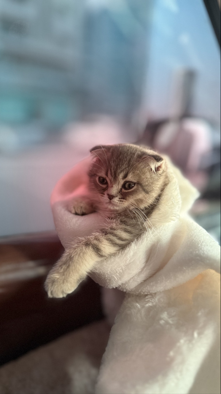 محتوى سناب شات لـ الحــصـ🤍