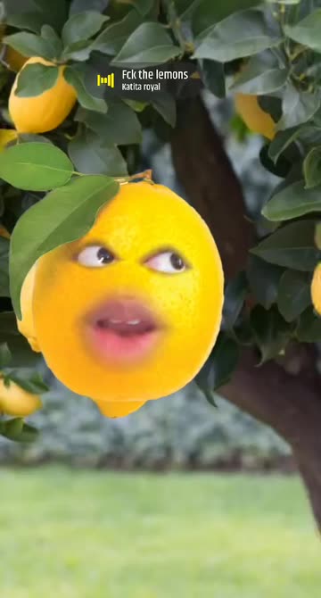 Preview for a Spotlight video that uses the Lemon Lens