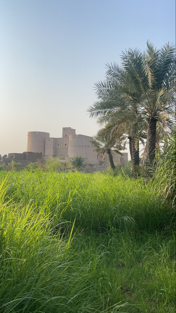 محتوى سناب شات لـ 𝕄𝕆ℍ𝔸𝕄𝕄𝔼𝔻 🇦🇪