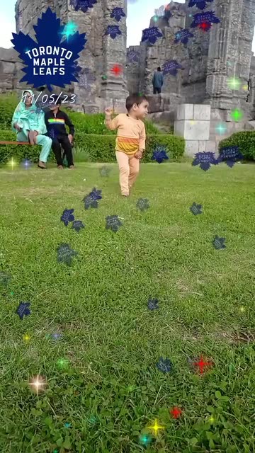Preview for a Spotlight video that uses the leafs confetti Lens