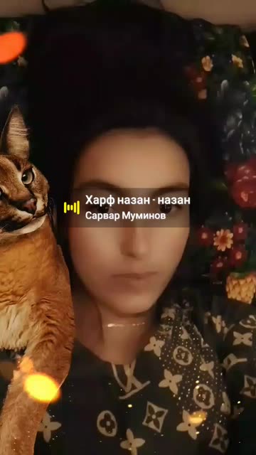 Preview for a Spotlight video that uses the Caracal Lens