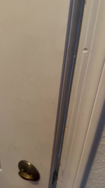 jessyb3b55b