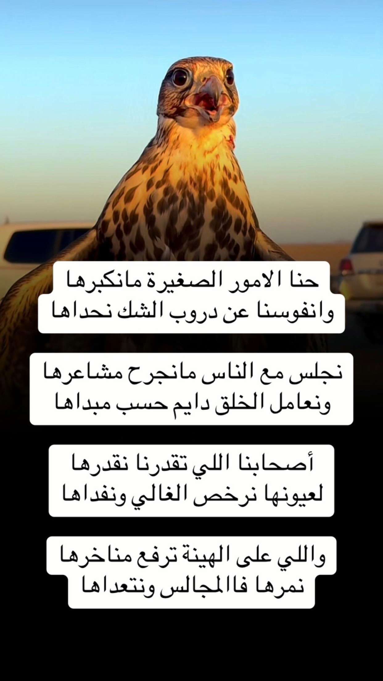 قصة سناب شات للحساب zzfzr رقم 6