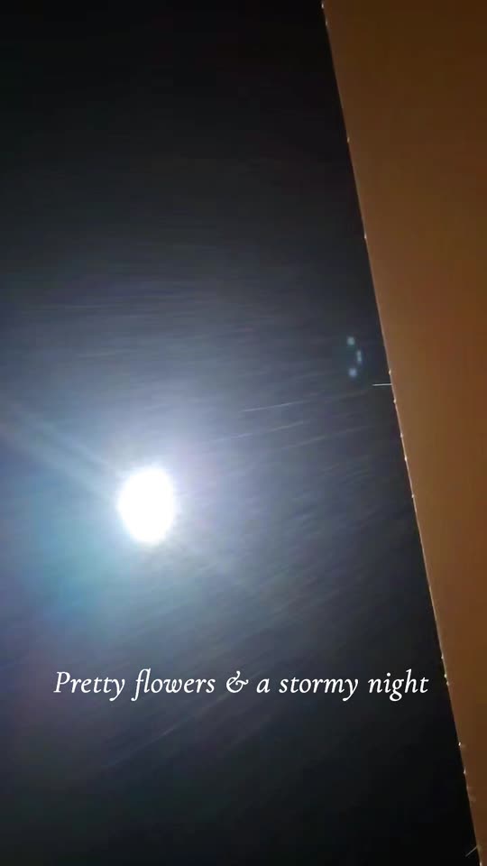 hannah_bet3