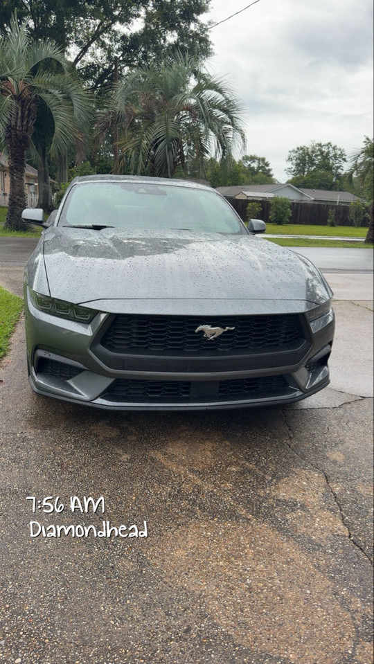nyellie129