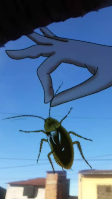 Preview for a Spotlight video that uses the Cockroach Sky Lens