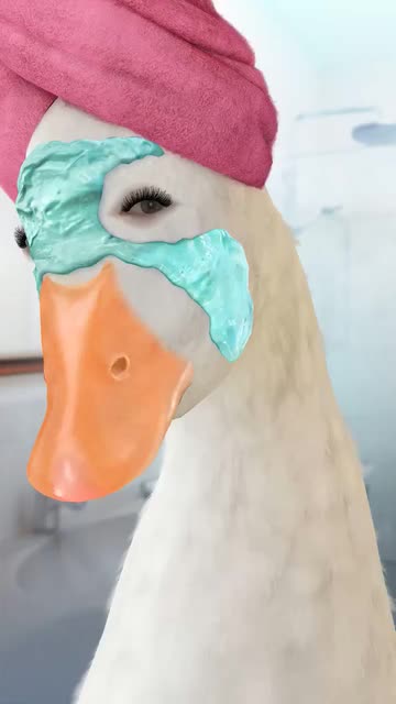 Preview for a Spotlight video that uses the Relaxed Duck Lens