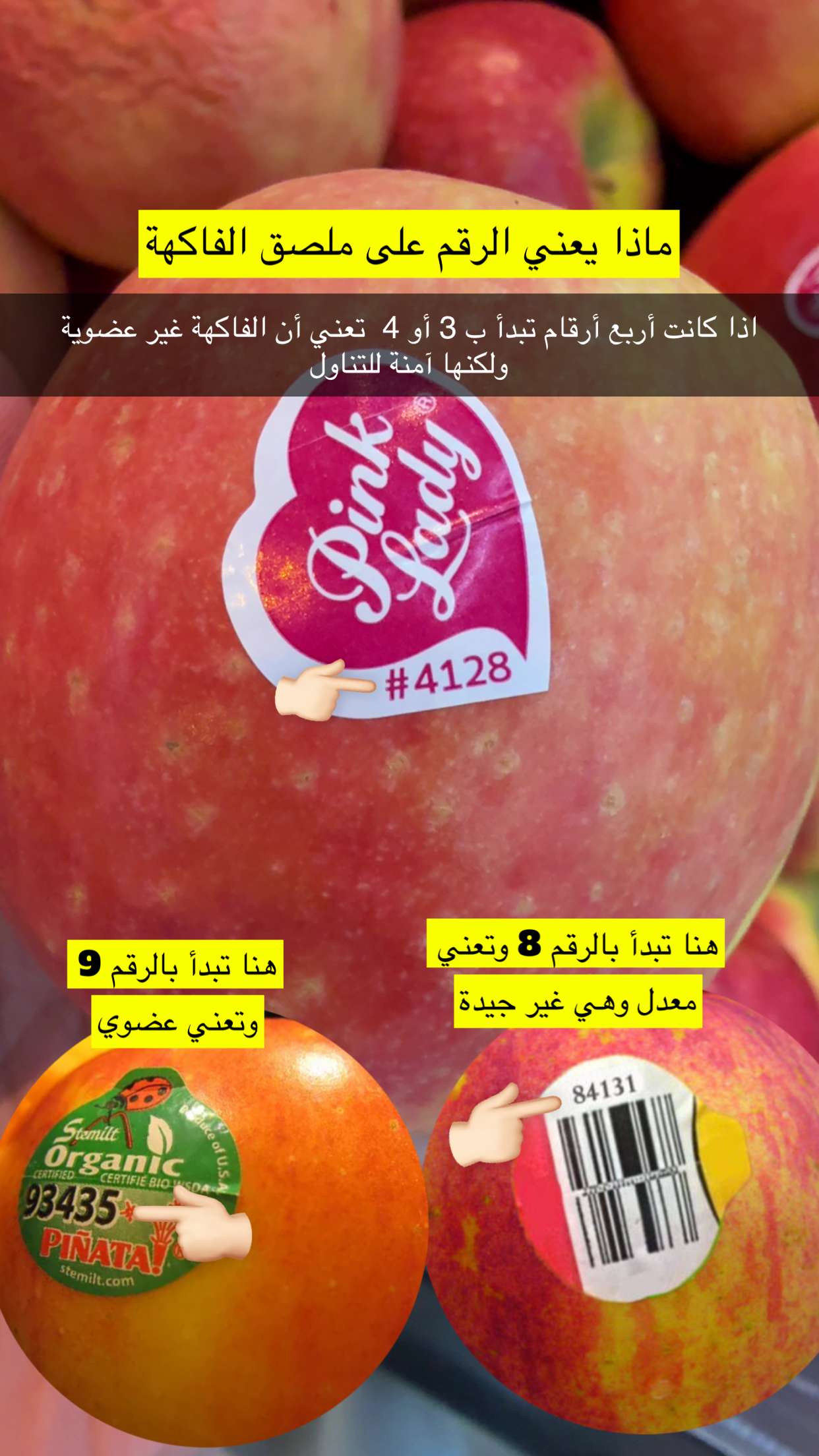 محتوى سناب شات لـ عمار العمار “DietsWiki"