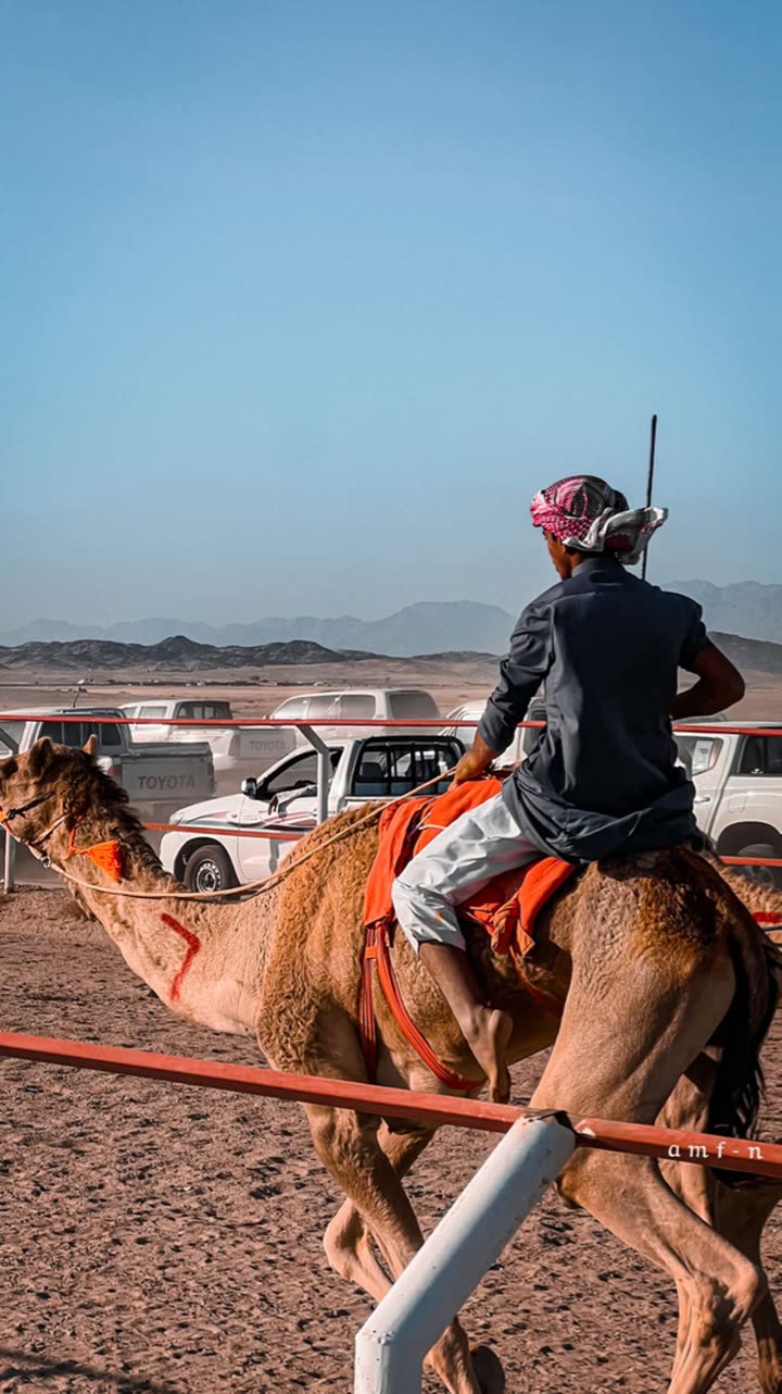 محتوى سناب شات لـ أحمد آل مسعود.